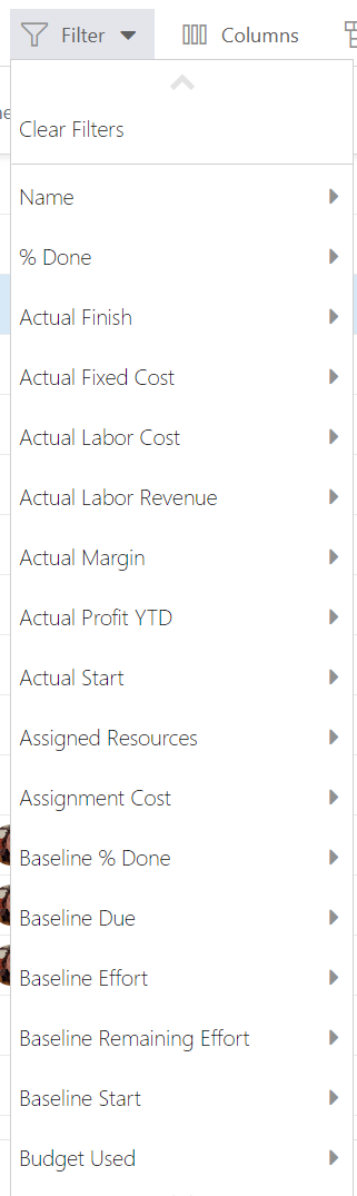 Work_Plan_Filters.png