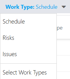 Work_Type_Menu_Updated_Based_on_Selections.png