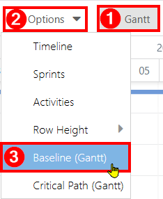 2026-02-02_Show Baselines in Gantt.png