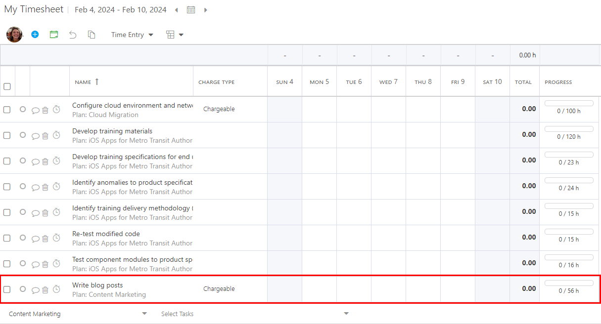 Changeable Timesheet.png