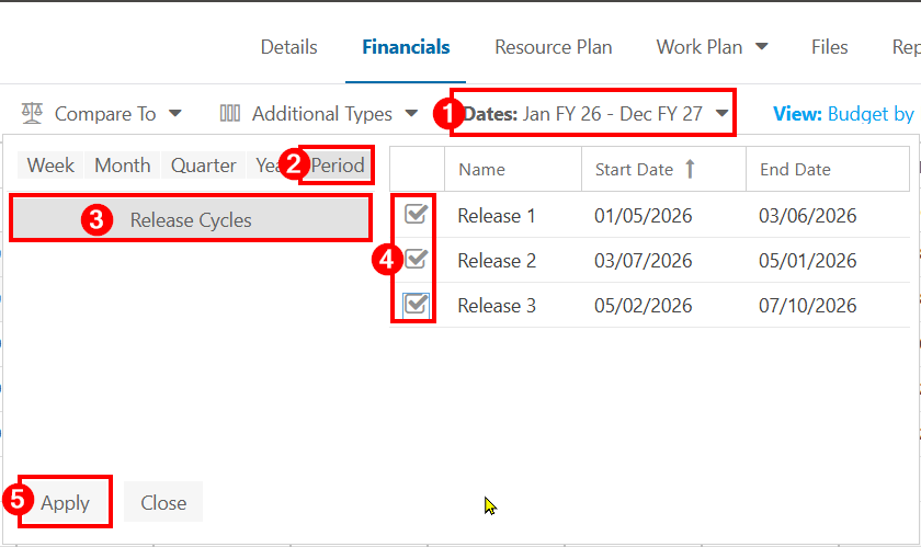 Use Custom Periods in Fin.png